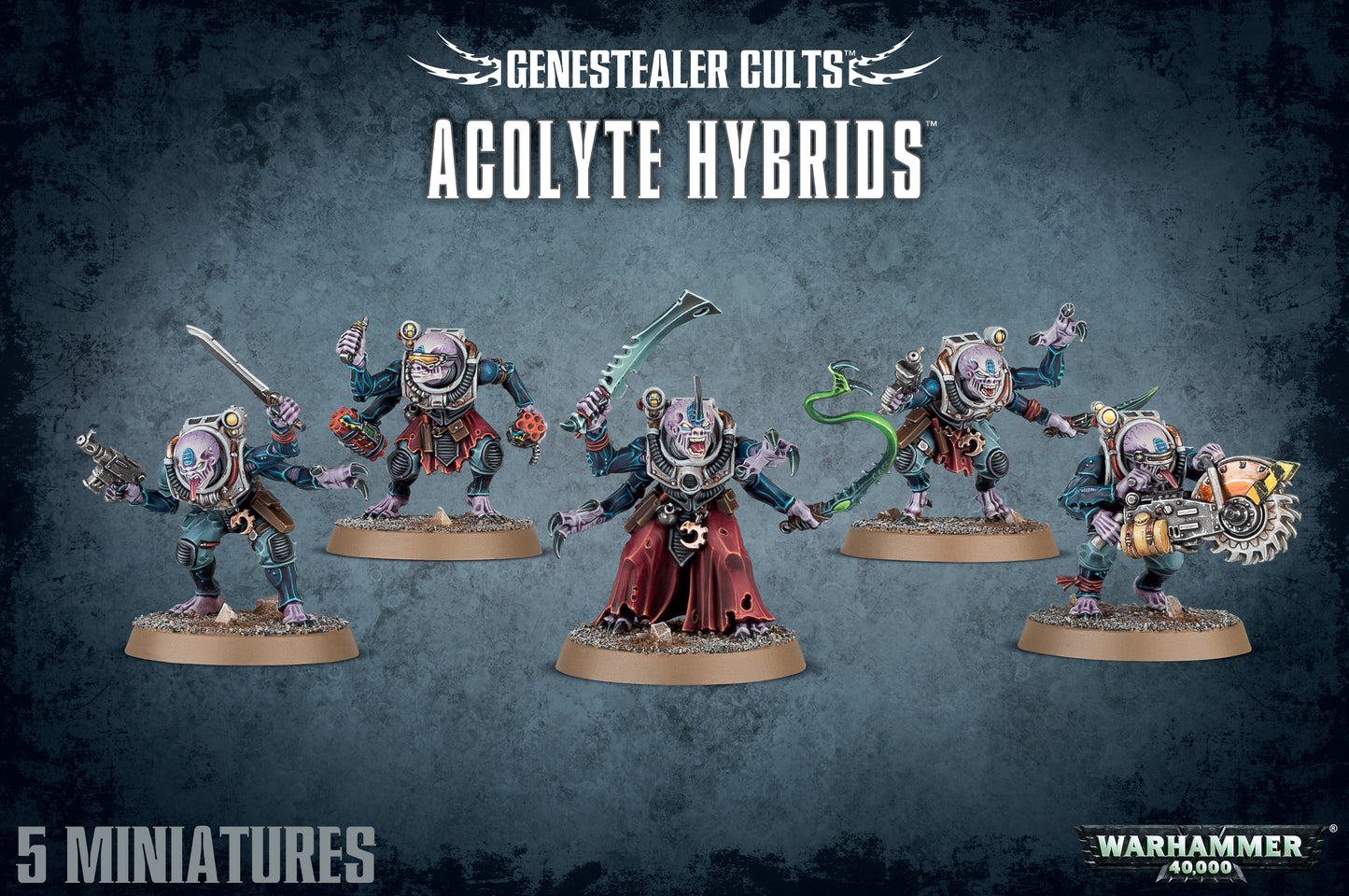 Hybrides Acolyte
