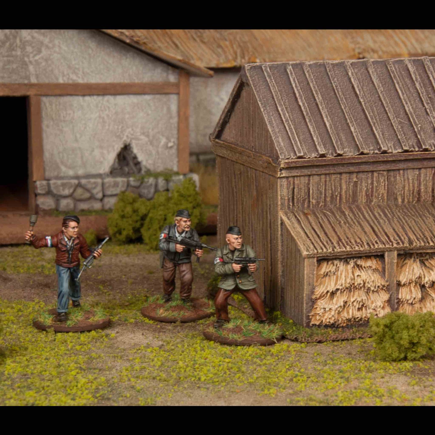 Partisans (1) French Resistance