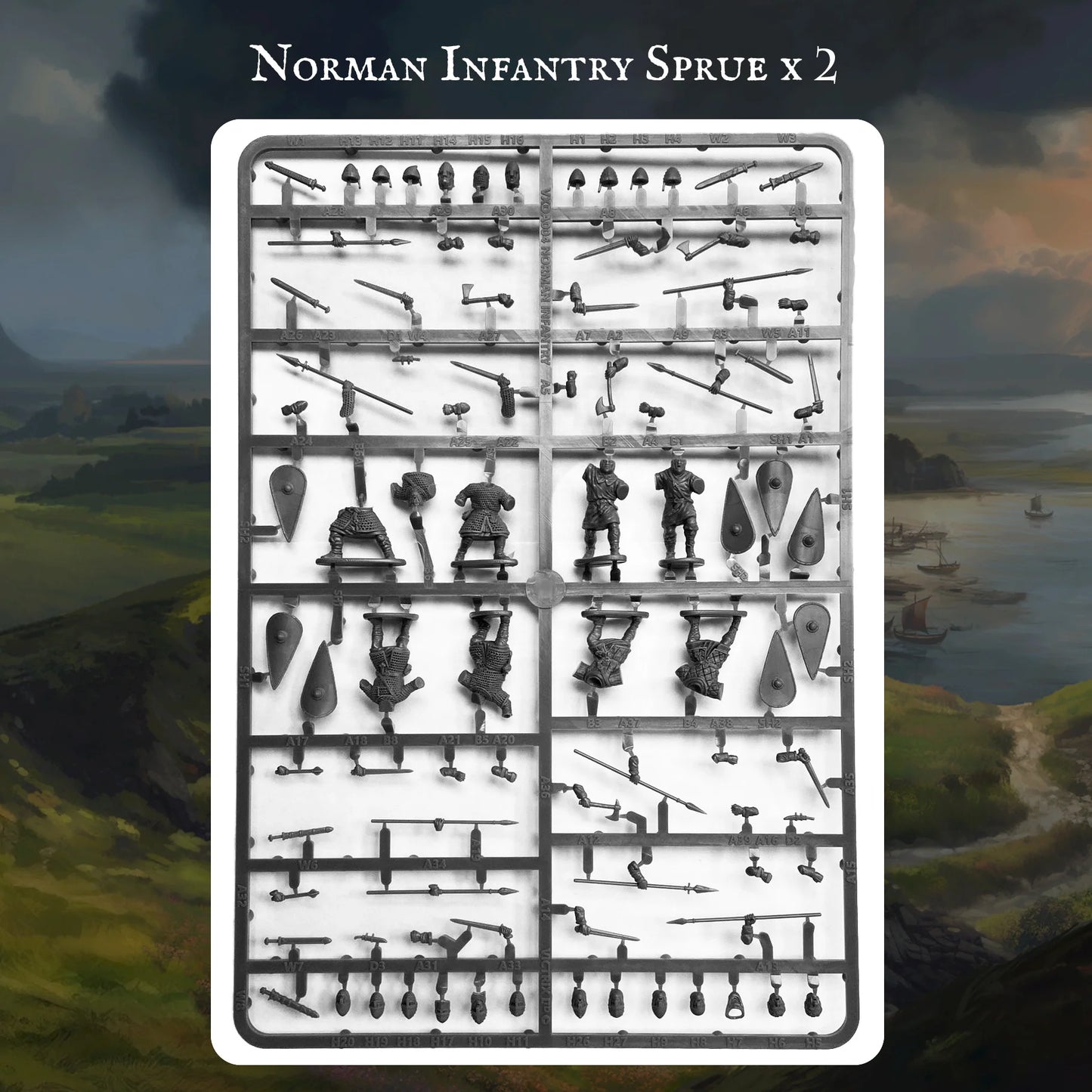 Norman Warband