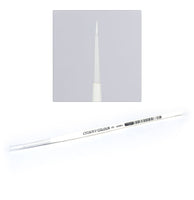 GW STC Brushes