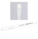GW STC Brushes